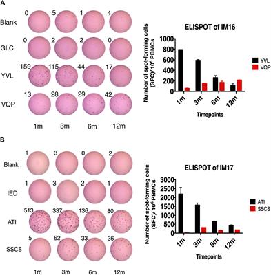 Emergence of CD4+ and CD8+ Polyfunctional T Cell Responses Against Immunodominant Lytic and Latent EBV Antigens in Children With Primary EBV Infection